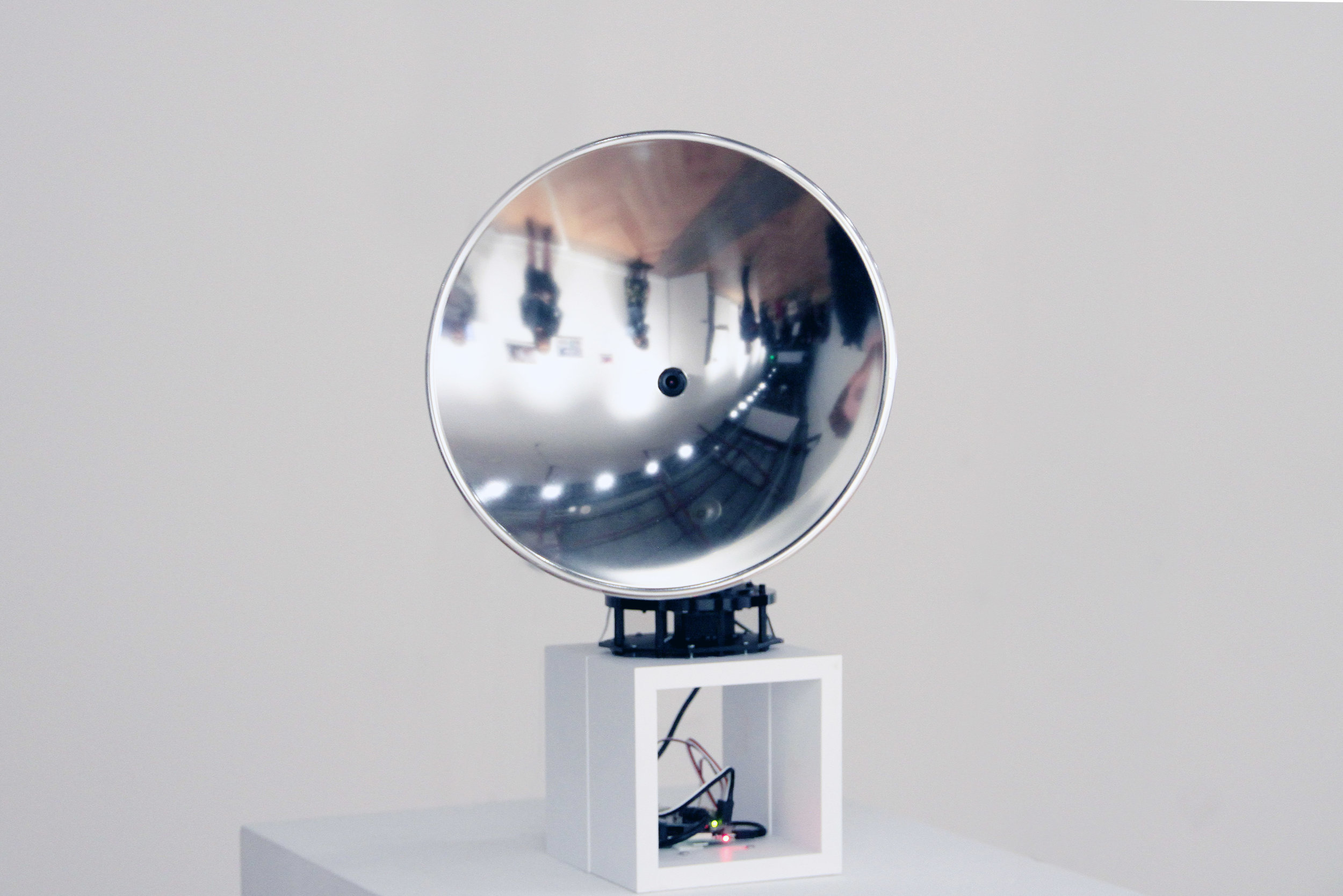 Looking-glass_1.jpg