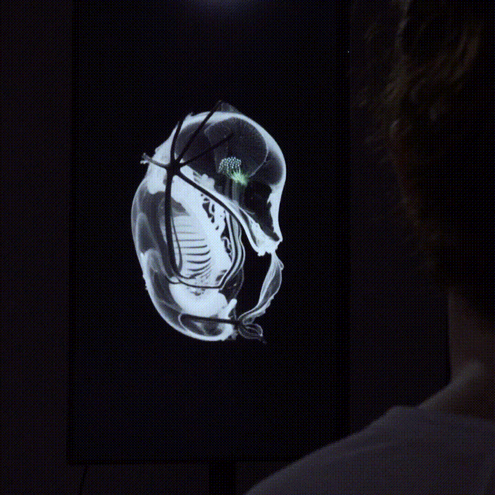 social02.gif